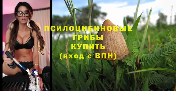 МДПВ Карталы