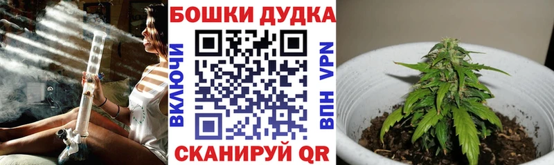 Шишки марихуана конопля  Инза 